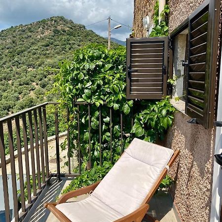 Studio Terrasse Vue Mer Partinello Eksteriør bilde